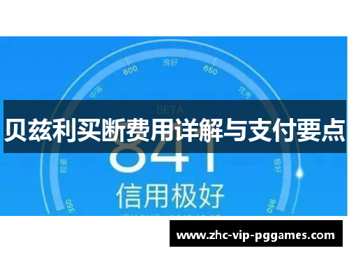 贝兹利买断费用详解与支付要点 贝兹利买断费用详解与支付要点